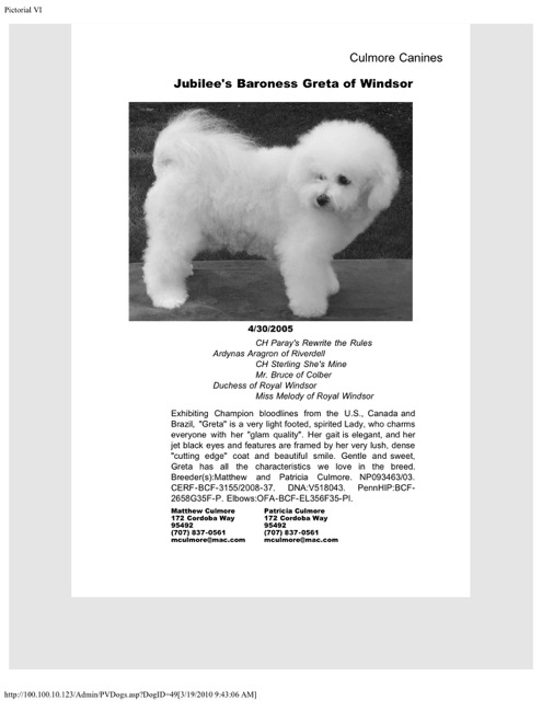 Greta as shown in The Bichon Frise Pictorial Review, The Sixth Book