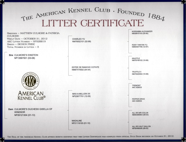Einstein and Gisella's Litter Certificate