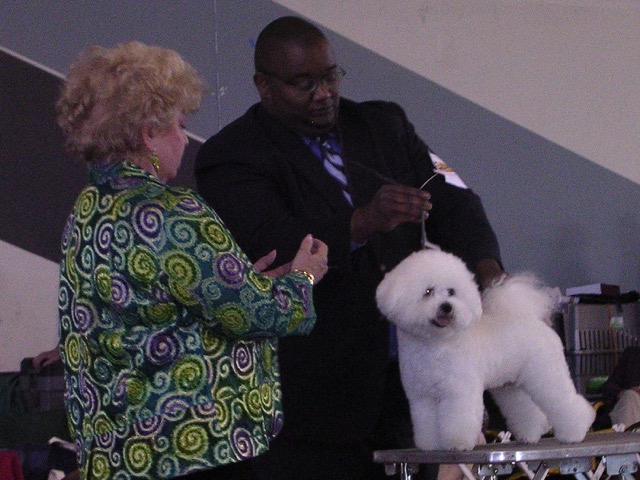 Judge Mrs. Toby Branch, Michael and Einstein at Coyote Hills KC Show